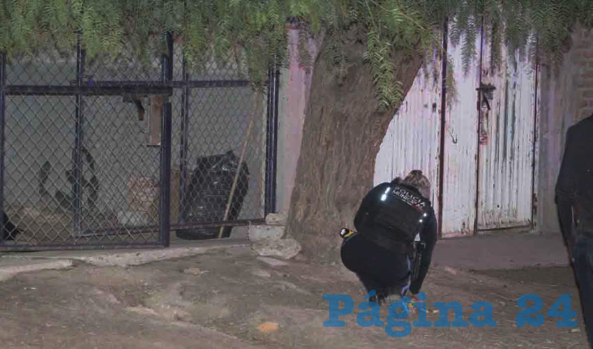 Fotografía relevante a la nota.