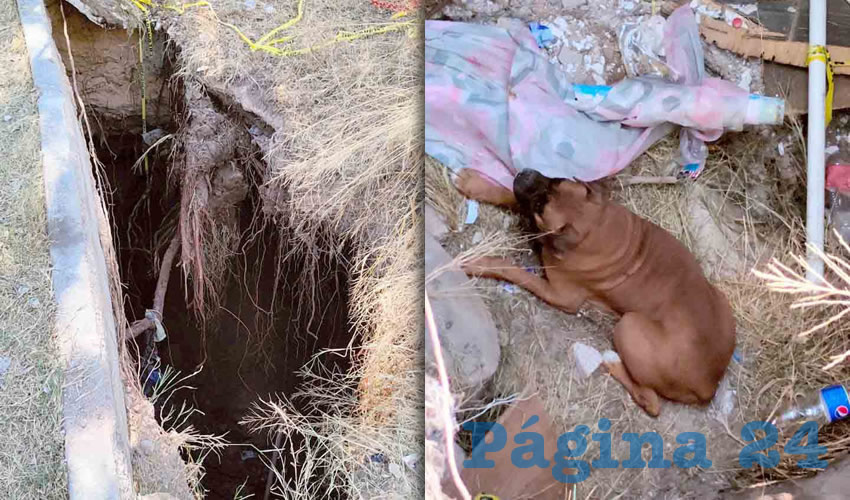 Fotografía relevante a la nota.