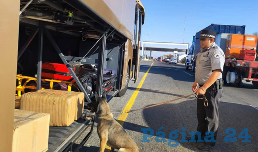 Fotografía relevante a la nota.