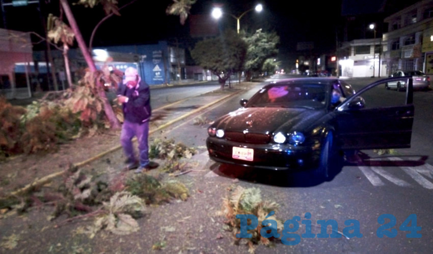 Fotografía relevante a la nota.