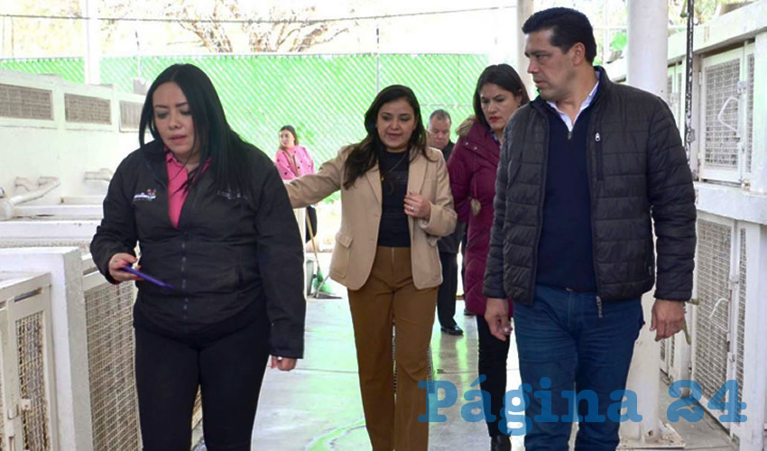 Fotografía relevante a la nota.