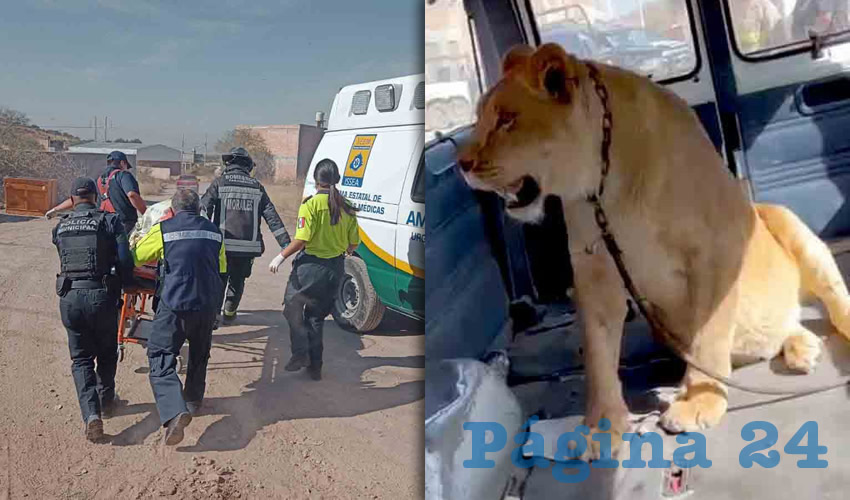 Fotografía relevante a la nota.