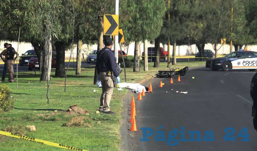 Fotografía relevante a la nota.