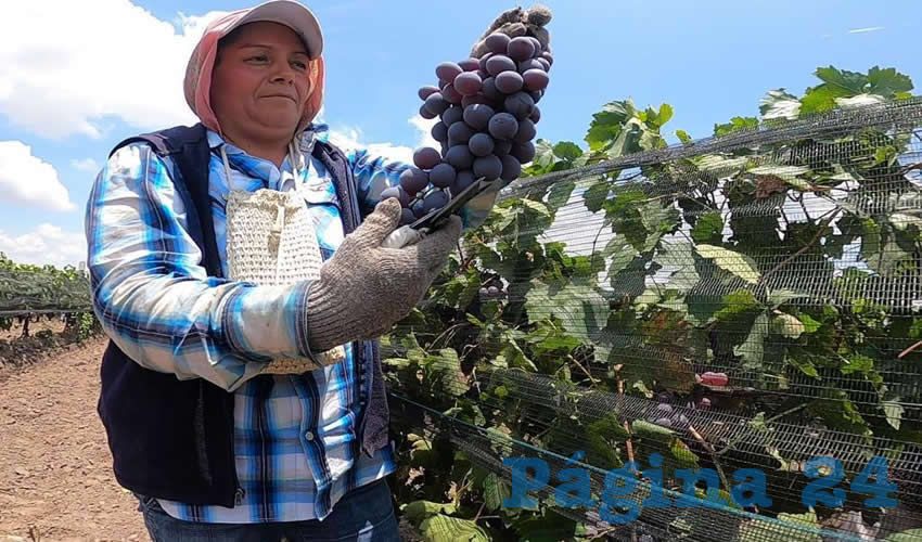 Fotografía relevante a la nota.