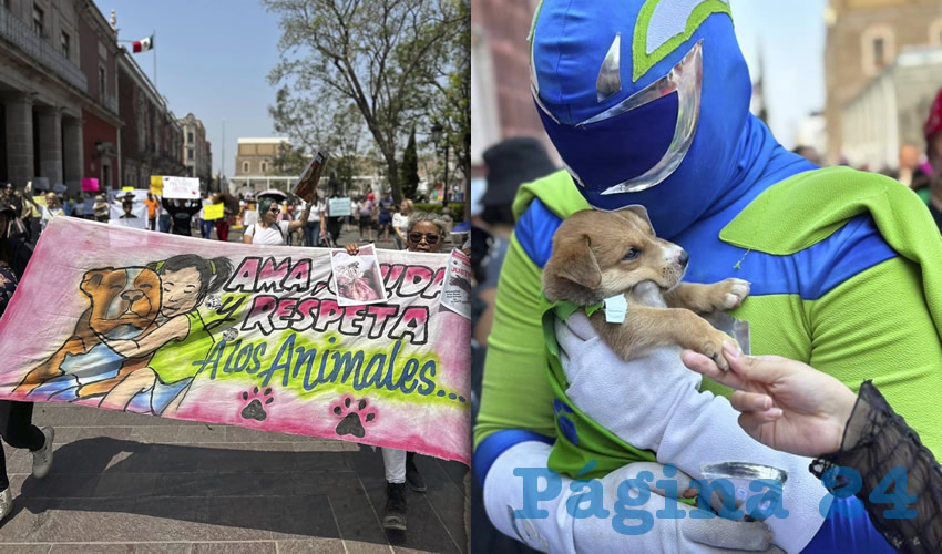 Fotografía relevante a la nota.