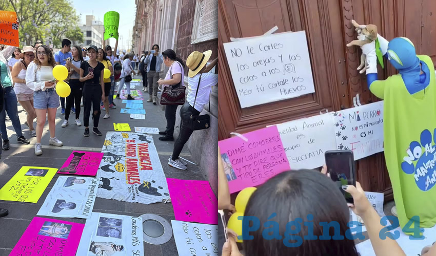 Fotografía relevante a la nota.