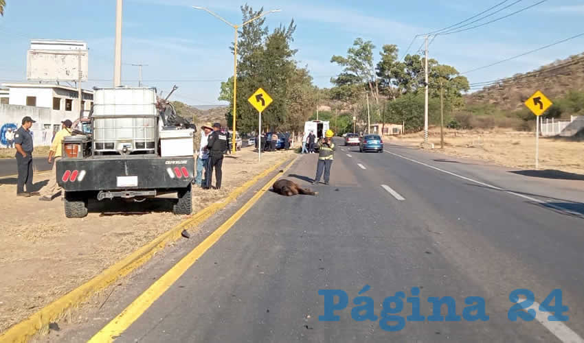 Fotografía relevante a la nota.