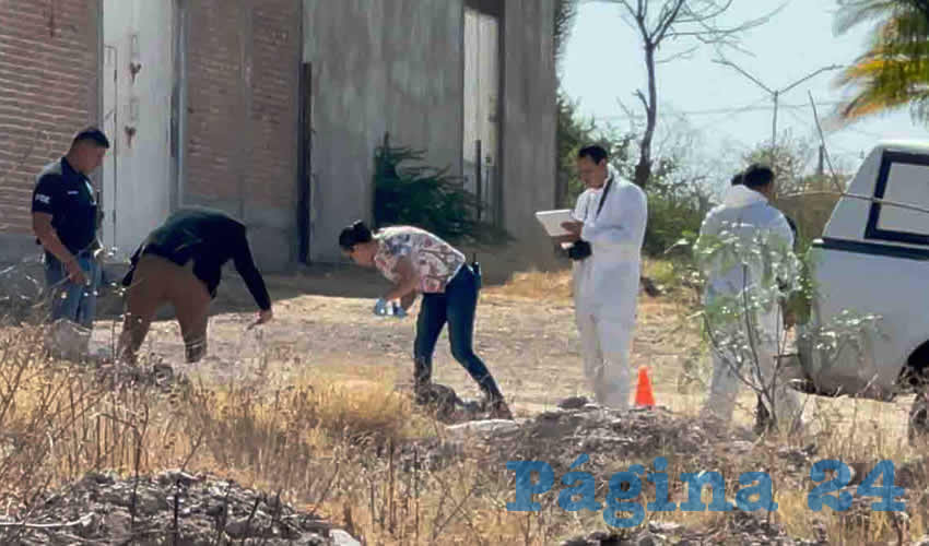 Fotografía relevante a la nota.