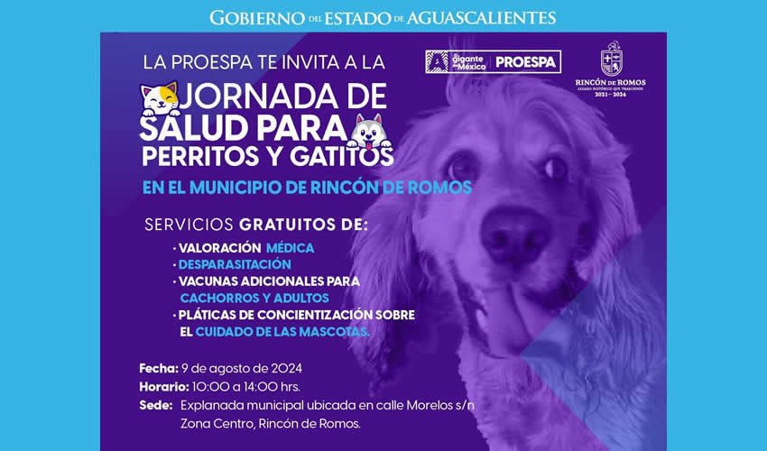 Imagen relativa a la nota.