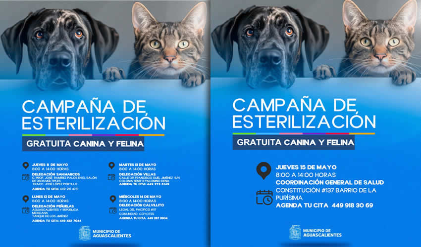 Imagen relativa a la nota.