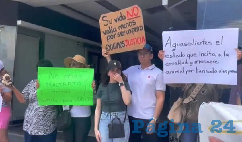 Imagen relativa a la nota.