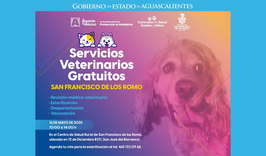 Imagen relativa a la nota.