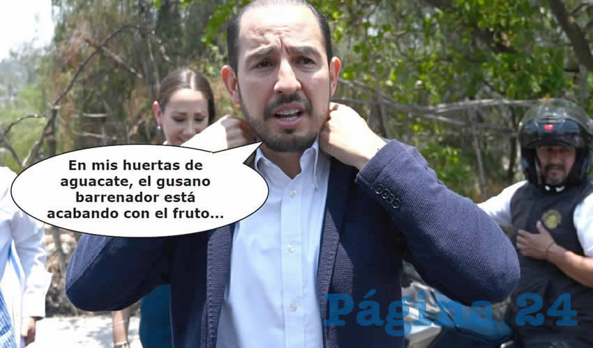 Si las Fotos Hablaran Dirían que…