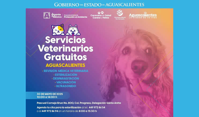 Imagen relativa a la nota.