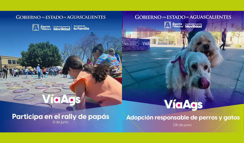 Imagen relativa a la nota.