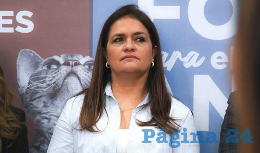 Imagen relativa a la nota.