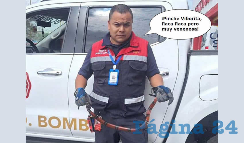 Si las Fotos Hablaran Dirían que…