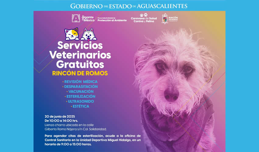 Imagen relativa a la nota.