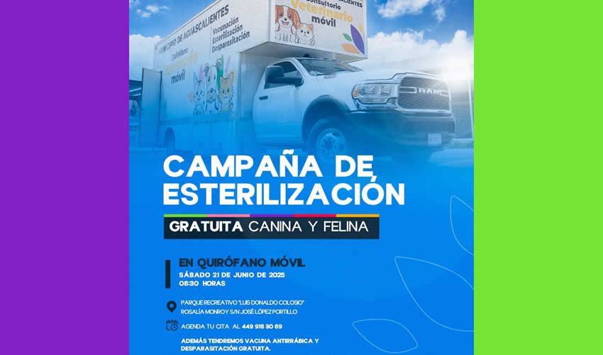 Imagen relativa a la nota.