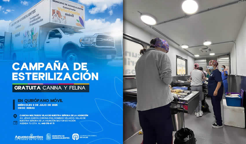 Imagen relativa a la nota.