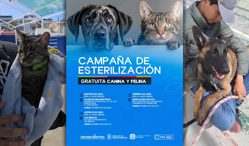 Imagen relativa a la nota.