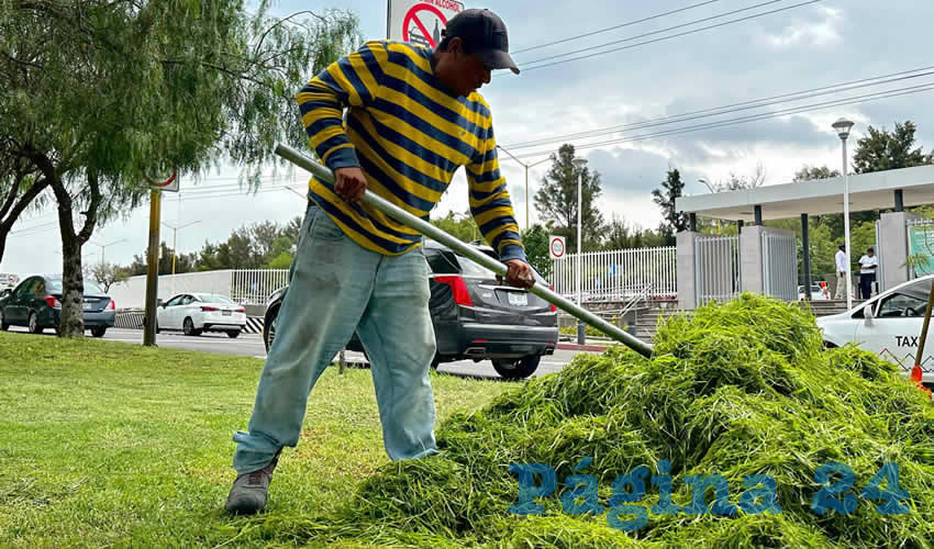 Imagen relativa a la nota.