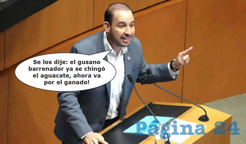 Si las Fotos Hablaran Dirían que…