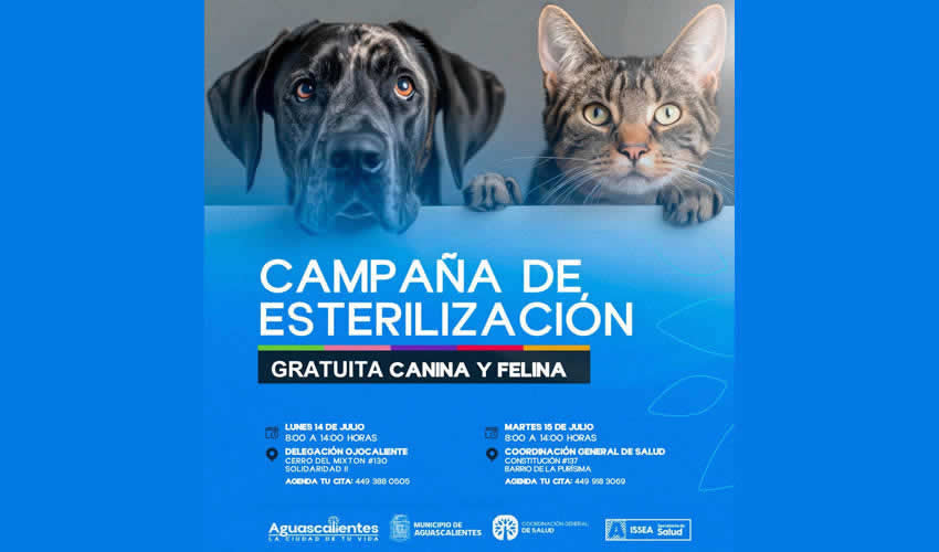 Imagen relativa a la nota.