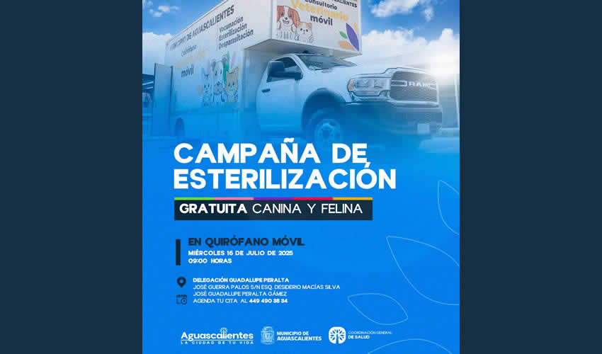 Imagen relativa a la nota.