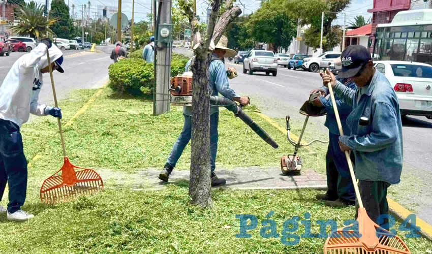 Imagen relativa a la nota.