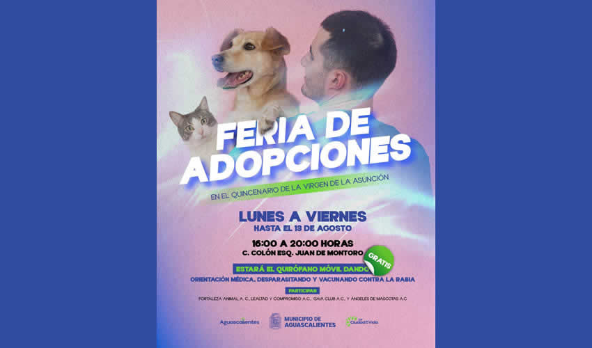 Imagen relativa a la nota.