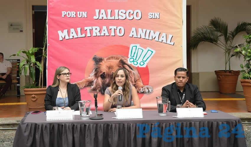 Imagen relativa a la nota.