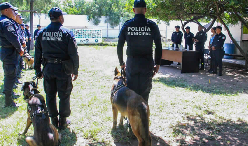 Imagen relativa a la nota.