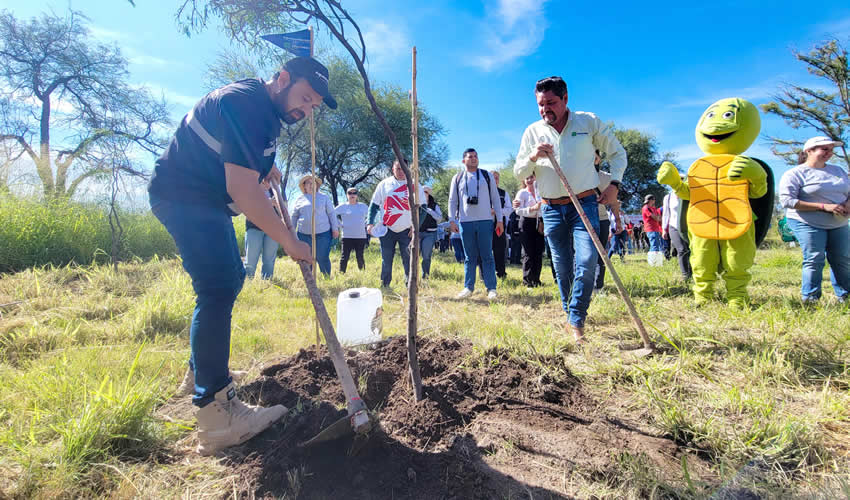 Imagen relativa a la nota.