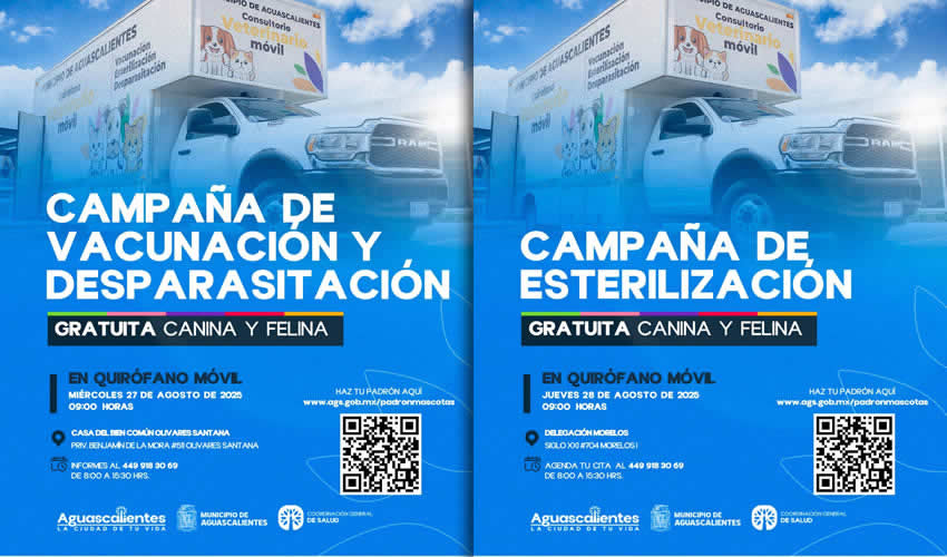 Imagen relativa a la nota.