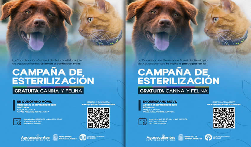 Imagen relevante a la nota.