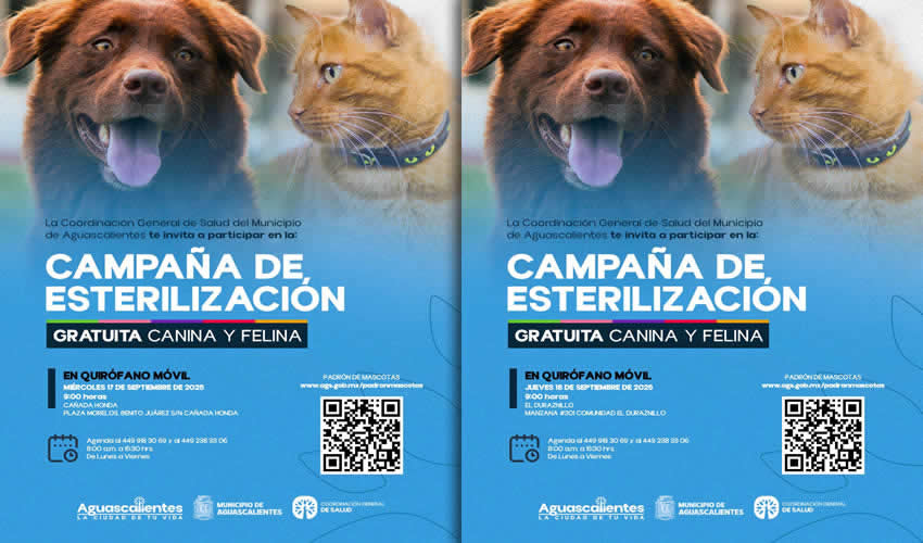 Imagen relacionada con la nota