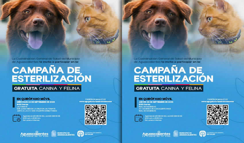 Imagen relevante a la nota.