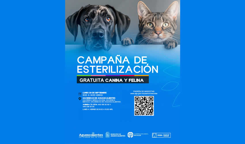 Imagen relevante a la nota.