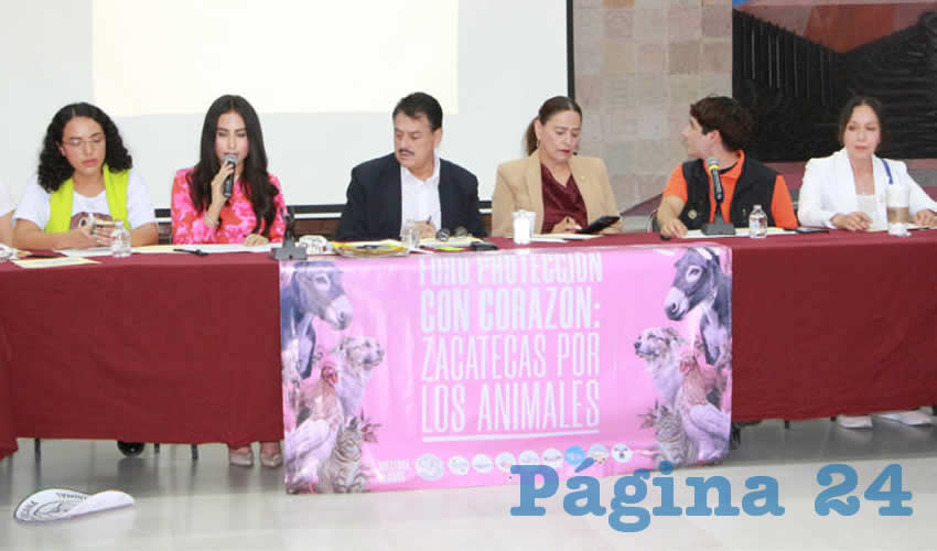 Imagen relevante a la nota.