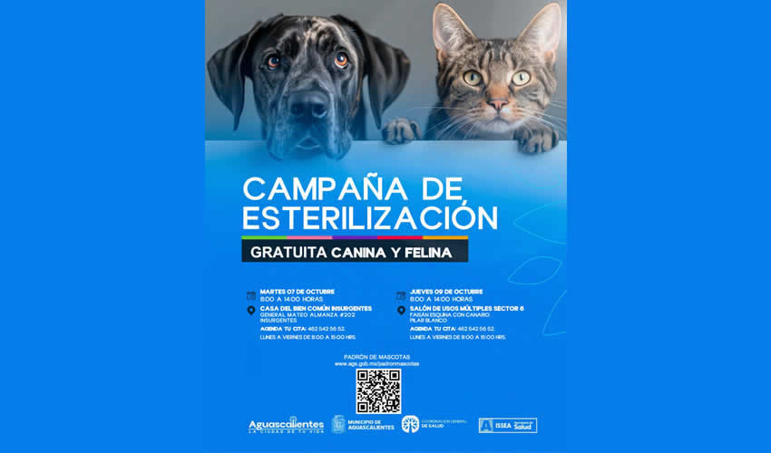 Imagen relevante a la nota.