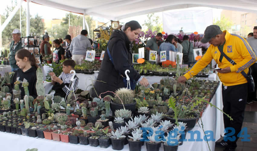 Imagen relevante a la nota.