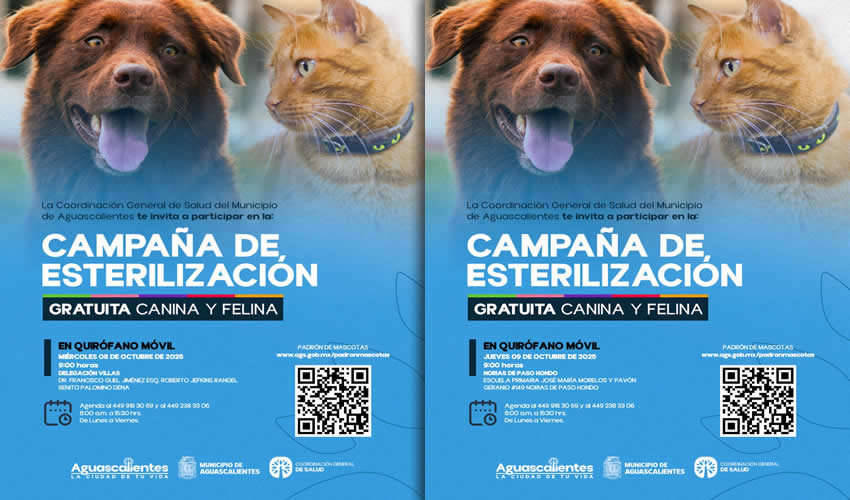 Imagen relevante a la nota.