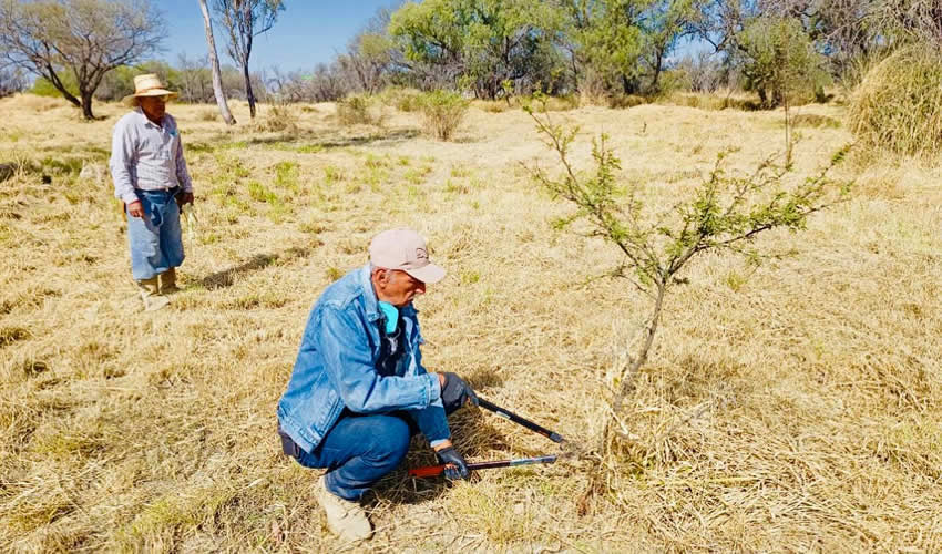 Imagen relevante a la nota.