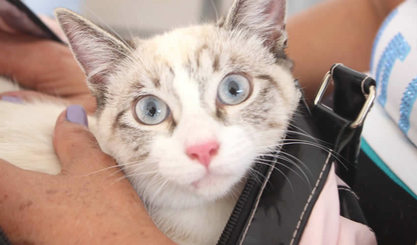 Imagen relevante a la nota.