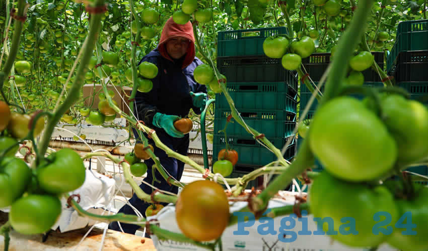 Imagen relativa a la nota.