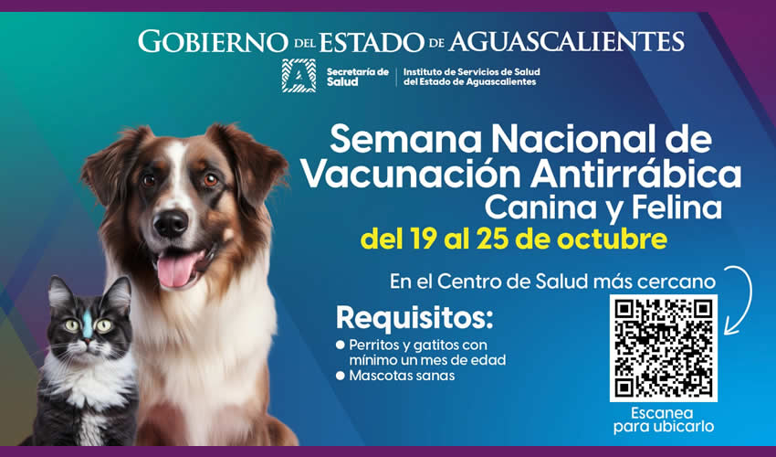 Imagen relativa a la nota.