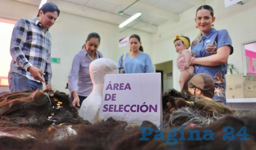 Imagen relativa a la nota.