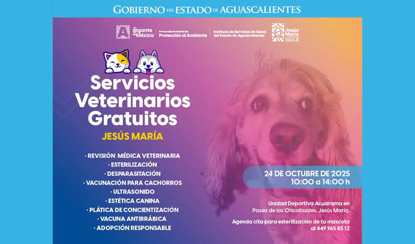 Imagen relativa a la nota.