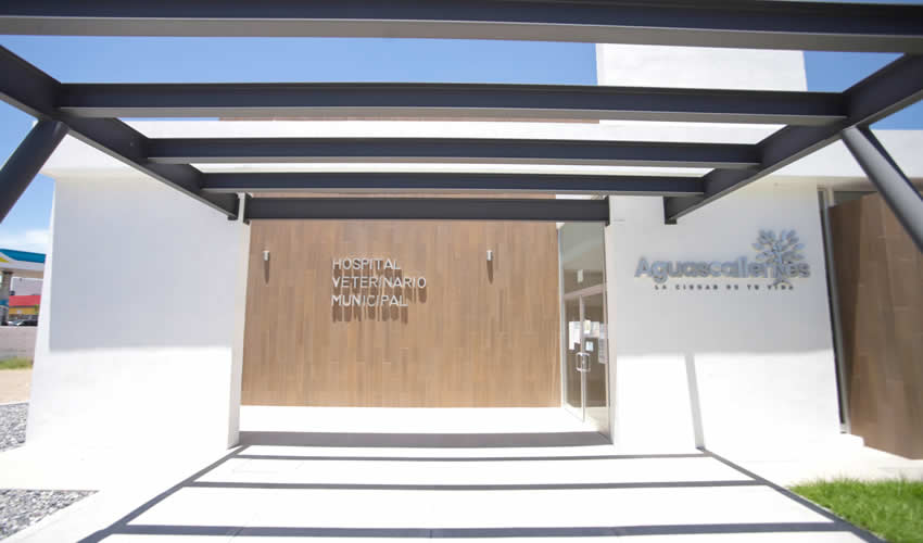 Imagen relativa a la nota.